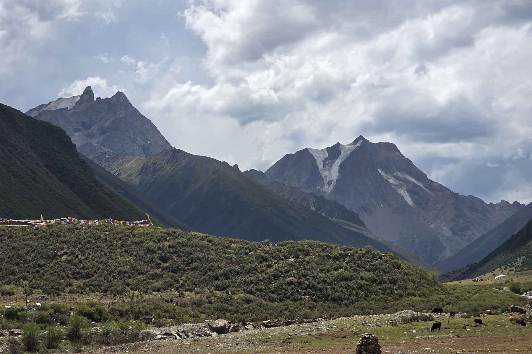 Zachari and Zalan Long kama in Summer