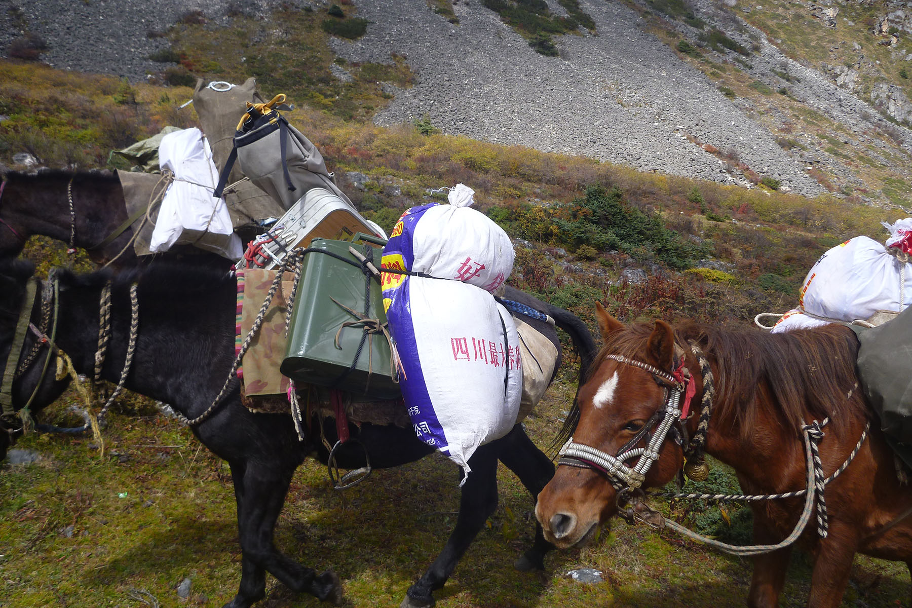 Kangding Porter