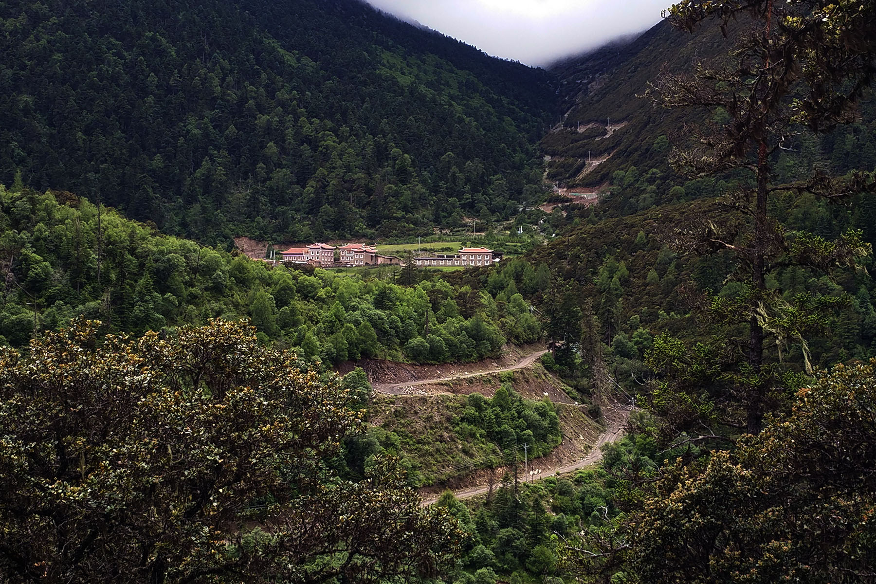 Zimei Village